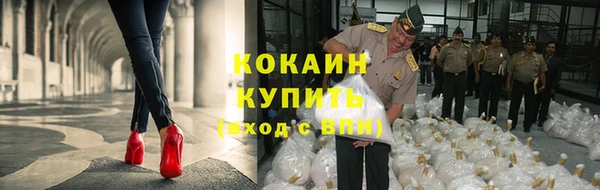 тгк Алзамай