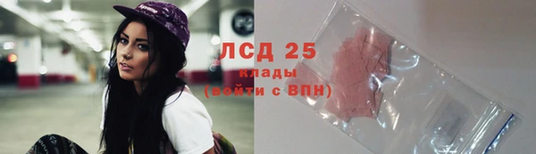 тгк Алзамай
