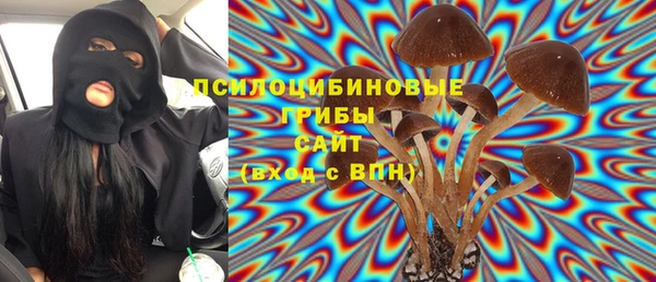 молекула духа Алексин