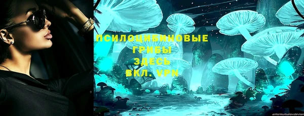 тгк Алзамай