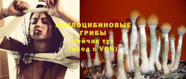 молекула духа Алексин