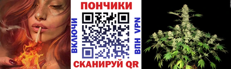 купить цена Стародуб блэк спрут как зайти Шишки марихуана план